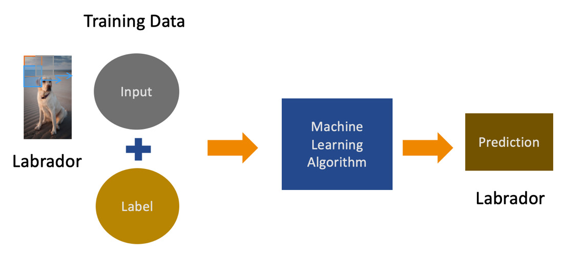 Figure 1.3 – A diagram showing a typical supervised learning prediction workflow
