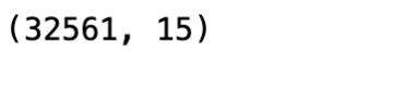 Figure 1.3 – Shape of the DataFrame