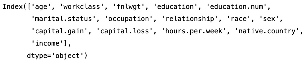 Figure 1.4 – The names of the columns in our dataset