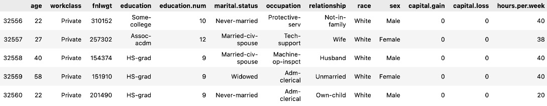 Figure 1.6 – The last five rows of data