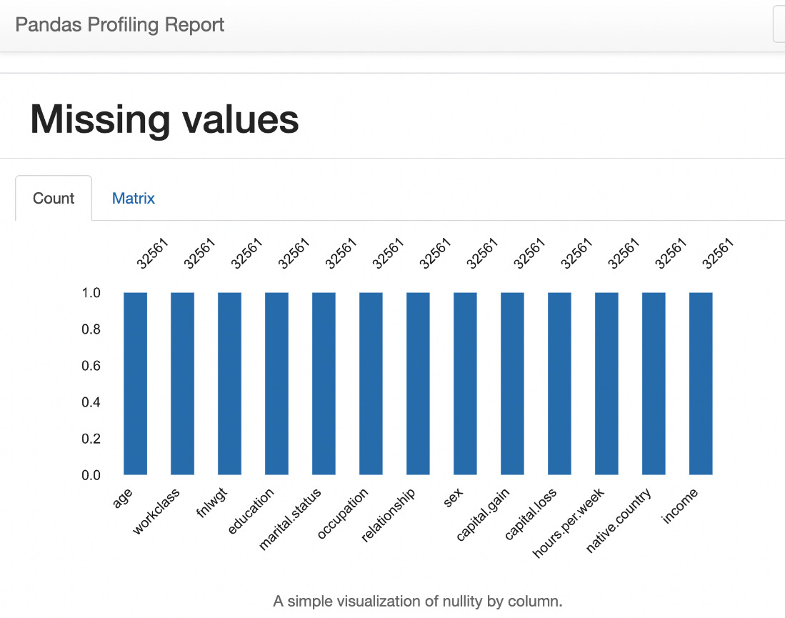 Figure 1.31 – Missing values count