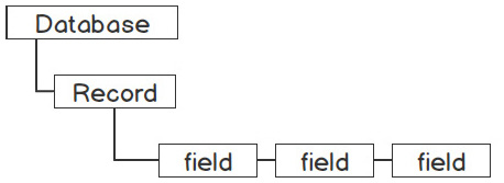 Figure 2.13 – A sample database record
