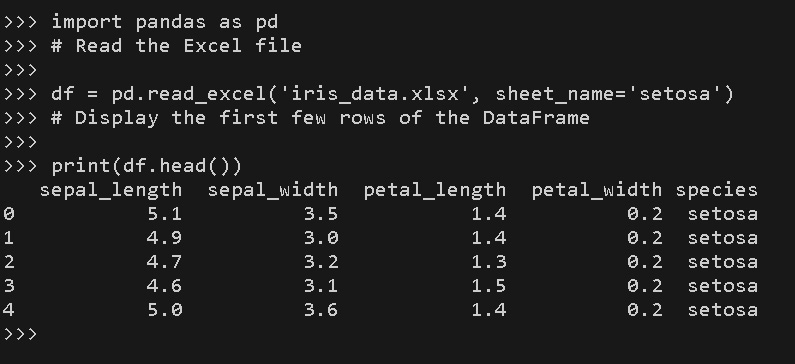 Figure 1.6 – Using the pandas package to read the Excel file