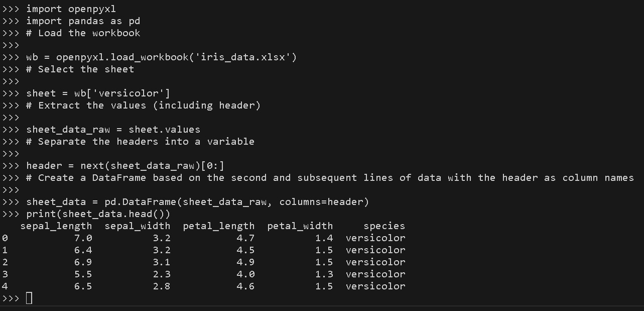 Figure 1.7 – Using the openpyxl package to read the Excel file