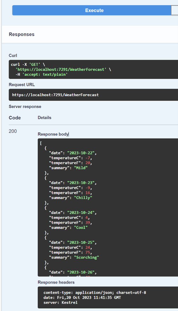 Figure 2.7 – Testing an endpoint in Swagger UI