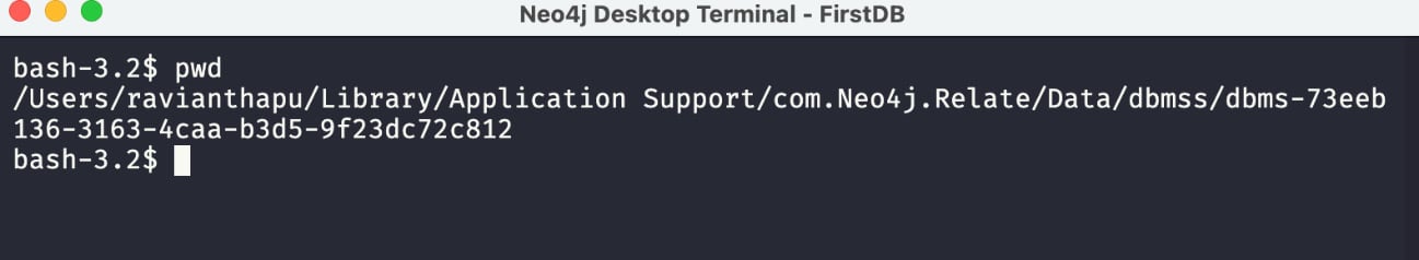 Figure 1.31 – Local DBMS instance terminal window
