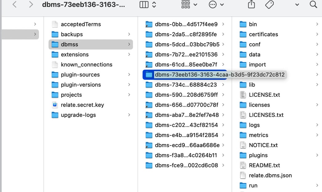 Figure 1.33 – Local DBMS instance root directory
