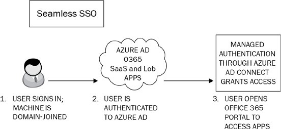 Figure 1.11: Seamless SSO