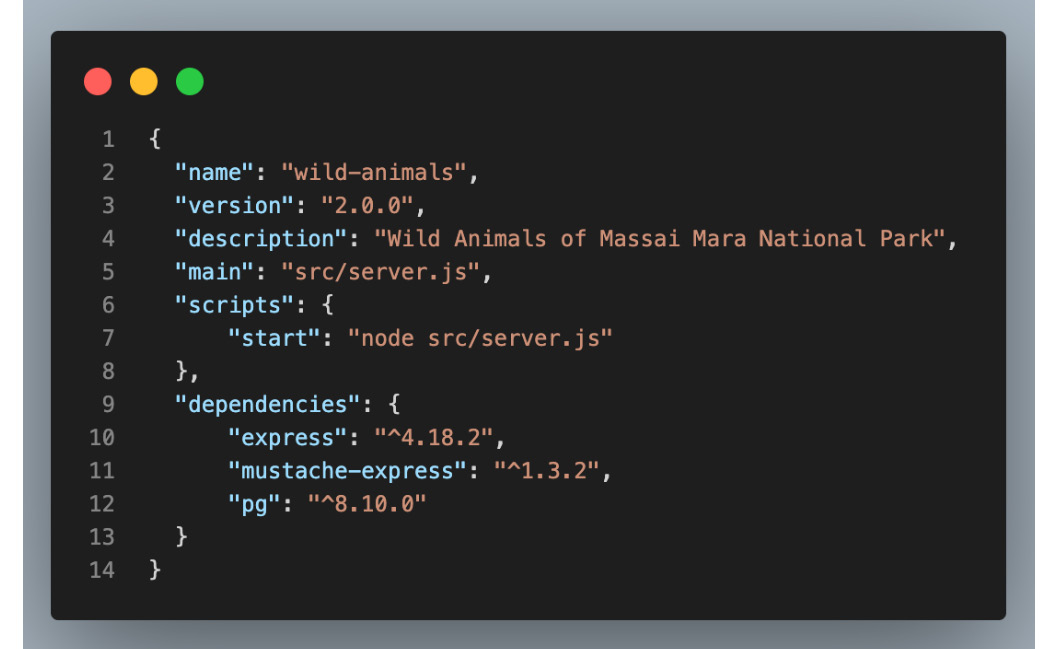 Figure 11.8 – The package.json file of the sample web application