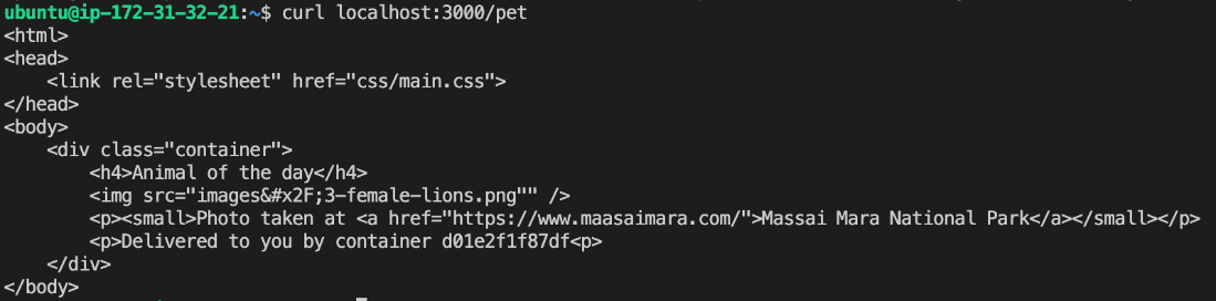 Figure 14.22 – Testing the pets application using curl