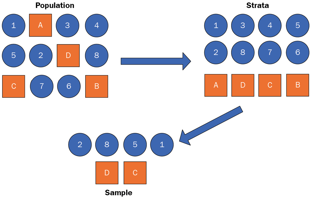 Figure 1.5 – A stratified sample example