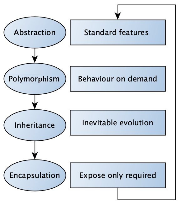 Figure 1.10 – APIE viewed as a continual improvement process