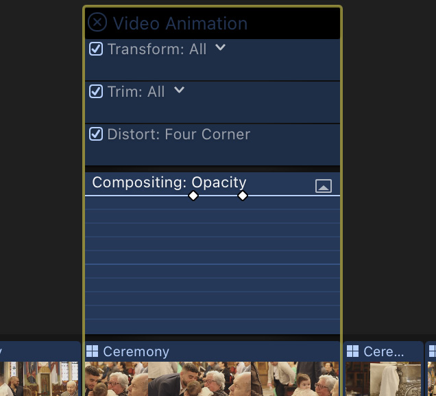 Figure 13.1: White keyframe dots showing in ﻿the video opacity setting