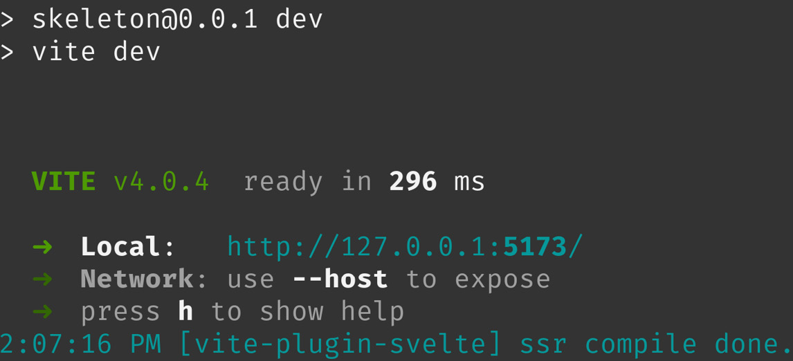 Figure 1.1 – Showing the output from the Vite development server