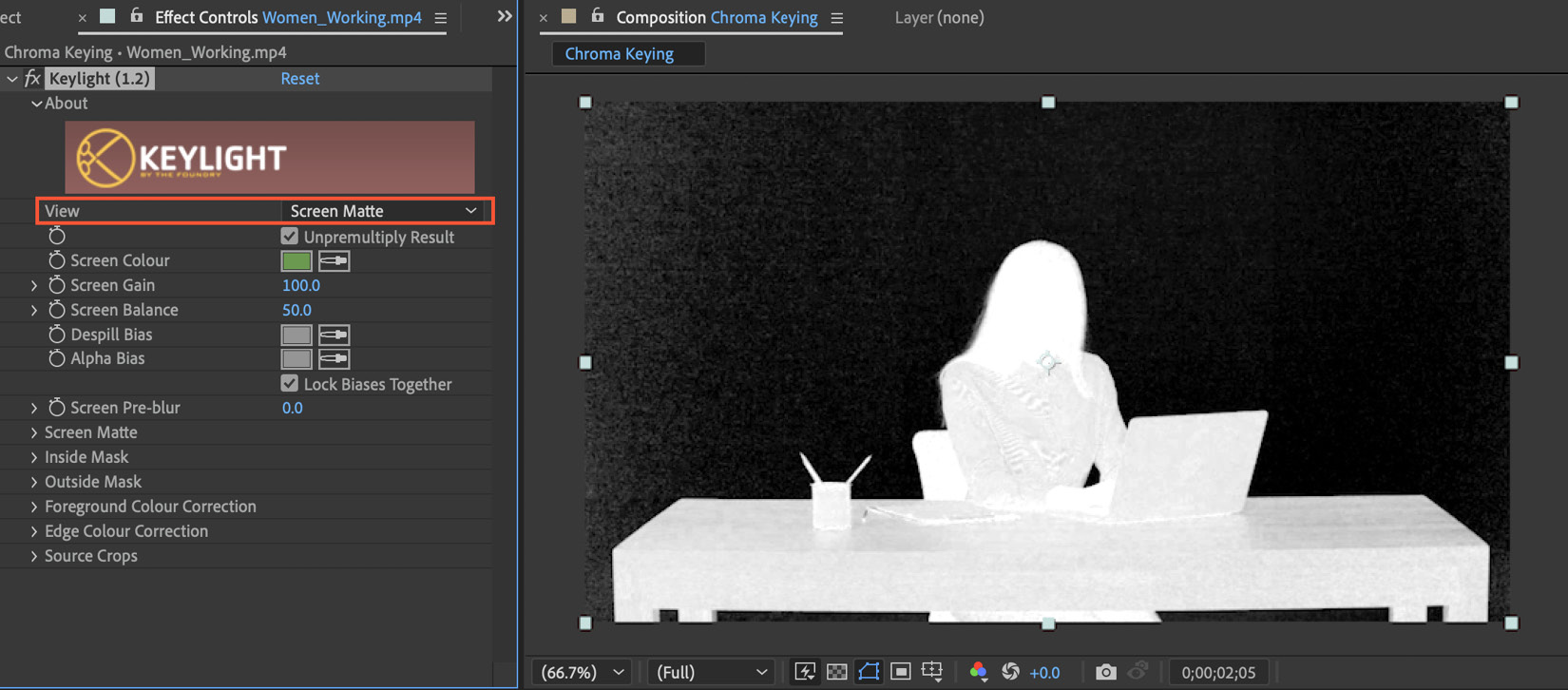 Figure 9.4: Changing the View setting from Final Result to Screen Matte