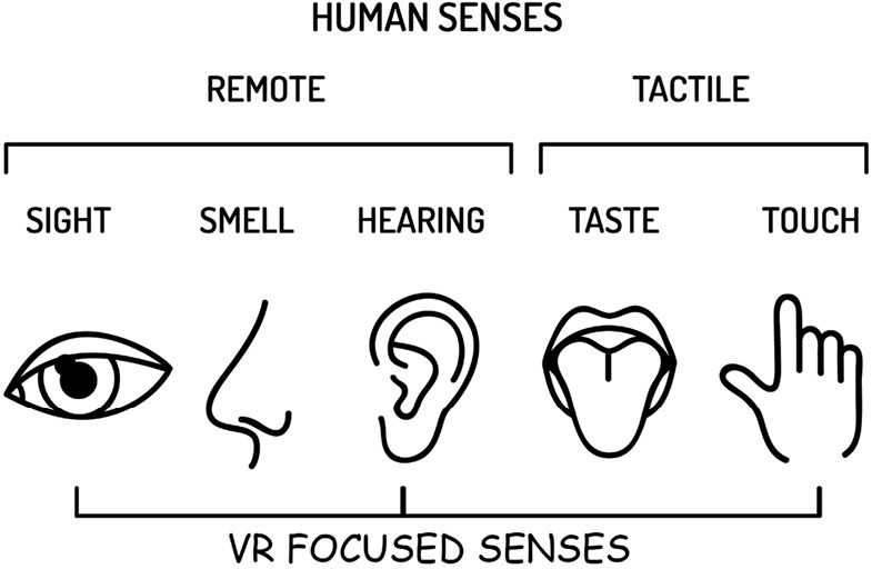 Figure 1.1 – Human senses that focus on VR include sight, hearing, and touch