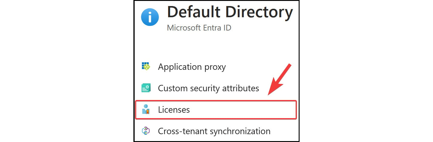 Figure 2.17: Microsoft Entra ID – Licenses