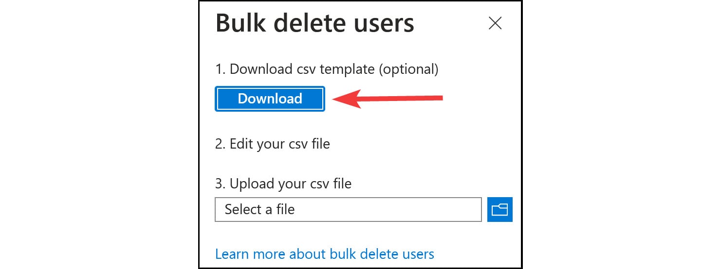 Figure 2.39: Microsoft Entra ID – the bulk delete template