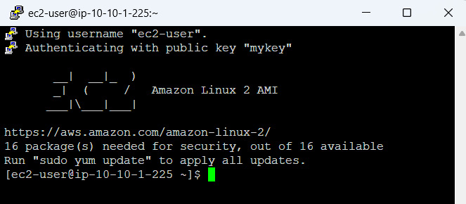 Figure 1.15 – SSH-ing into ec2-1 from the internet