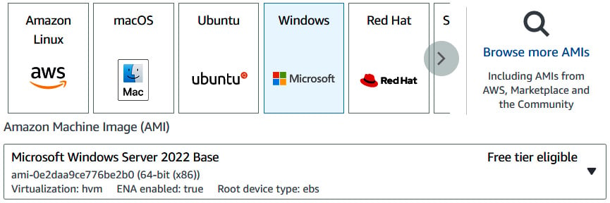 Figure 1.6 – Selecting Microsoft Windows as the operating system