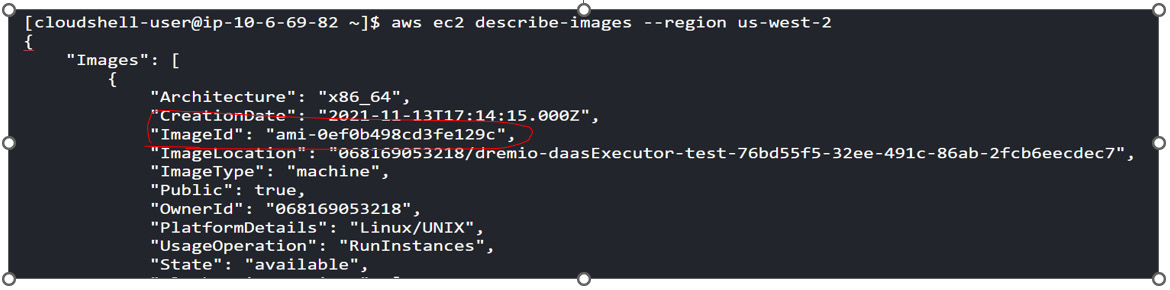 Figure 1.8 – Finding the Linux AMI image ID