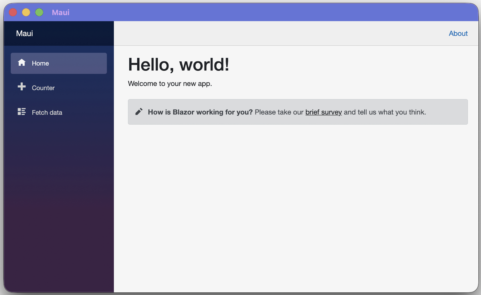 Figure 21.6: App running on macOS