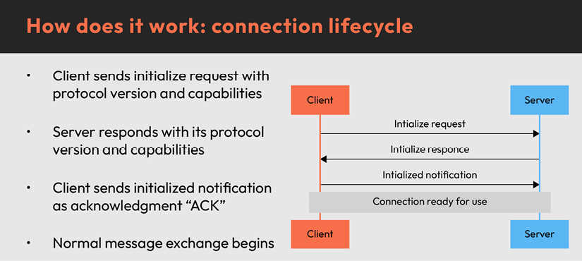 Slide titled “How does it work: connection lifecycle”. On the left, four bullet points explain the sequence: the client sends an initialize request with protocol version and capabilities, the server responds with its protocol version and capabilities, the client sends an initialized notification as an acknowledgement, and normal message exchange begins. On the right, a simple sequence diagram shows client and server boxes connected by arrows for initialize request, initialize response, and initialized notification, followed by a shaded bar labeled “Connection ready for use.