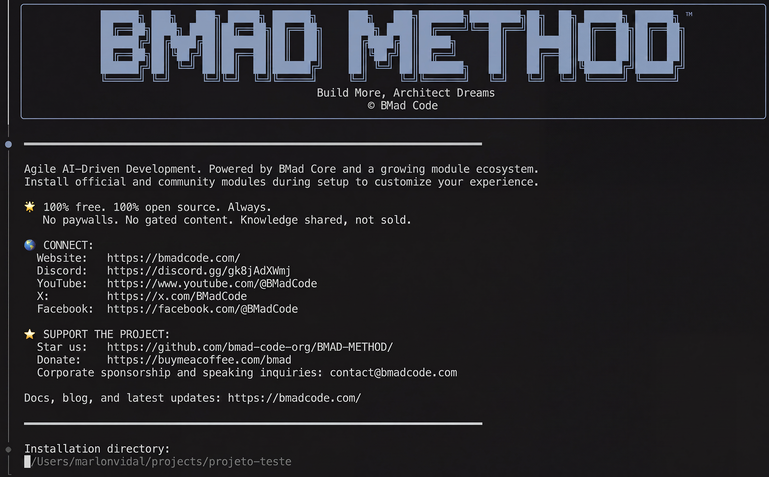 Figure 1.4 – Result of the installation command
