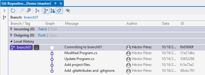 Figure 9.27 – The Git Repository window