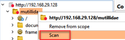 Figure 3.141 – How to configure a scan for the target application