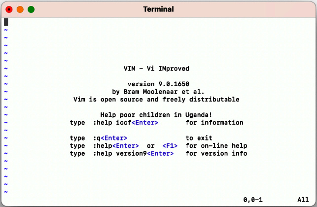 Figure 1.4 – Vim on macOS (installed via Homebrew)