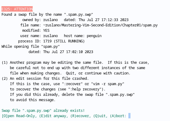 Figure 1.30 – A swap file error when attempting to open a file