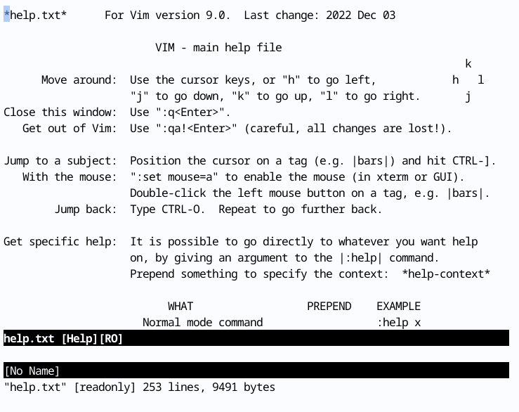 Figure 1.38 – The :help page – if you’ve read it, you probably wouldn’t have needed to read this book