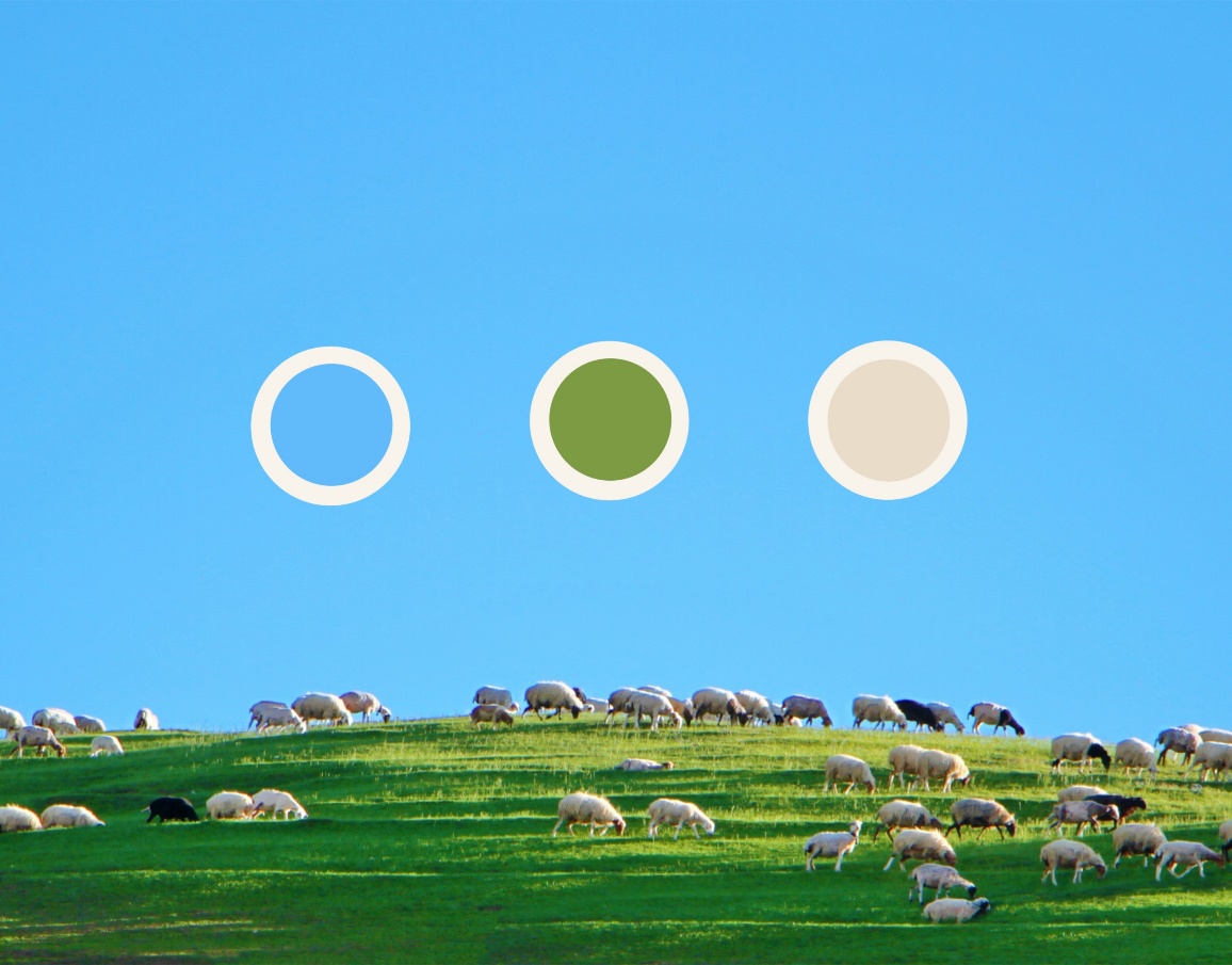 Figure 2.11 &ndash; Drawing snow