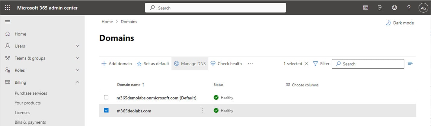 Figure 1.13 – Managing DNS settings for a domain