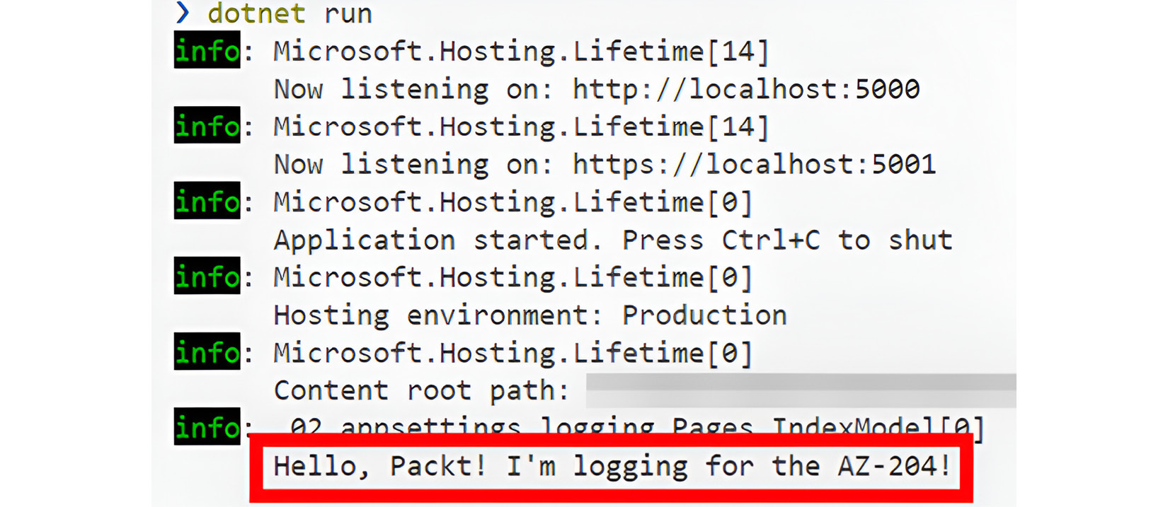 Figure 2.19: Terminal output showing information logging from the web app