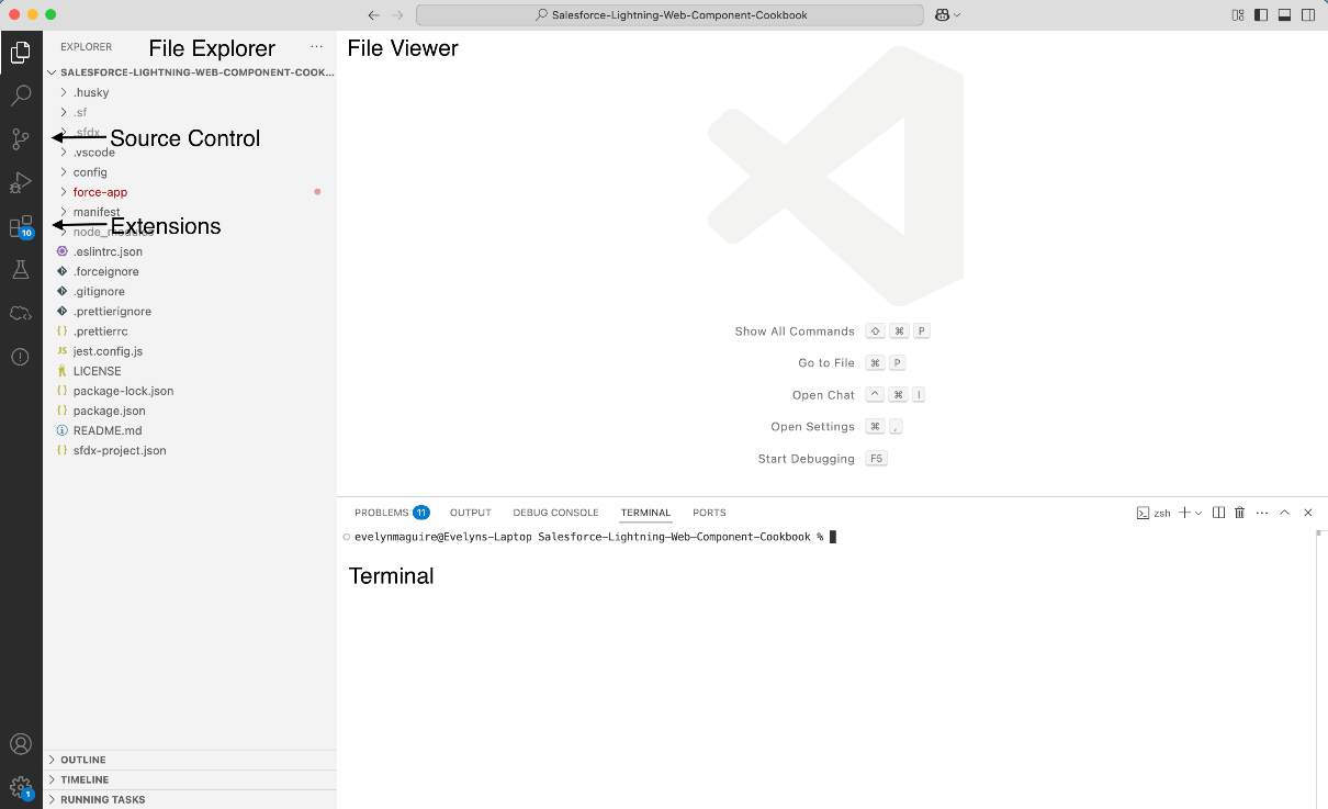 Figure 1.1: A screenshot of the VSCode window on Mac, showing the locations of the File Explorer, File Viewer, Source Control icon, Extensions icon, and the terminal when open