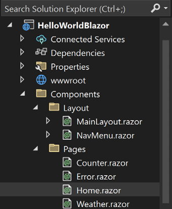 Figure 1.11 – Blazor solution