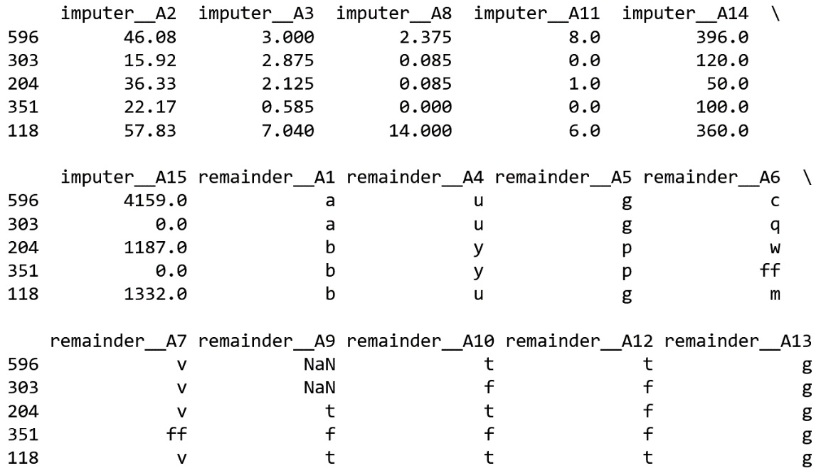 Figure 1.3 – Training set after the imputation. The imputed variables are marked by the imputer prefix; the untransformed variables show the prefix remainder