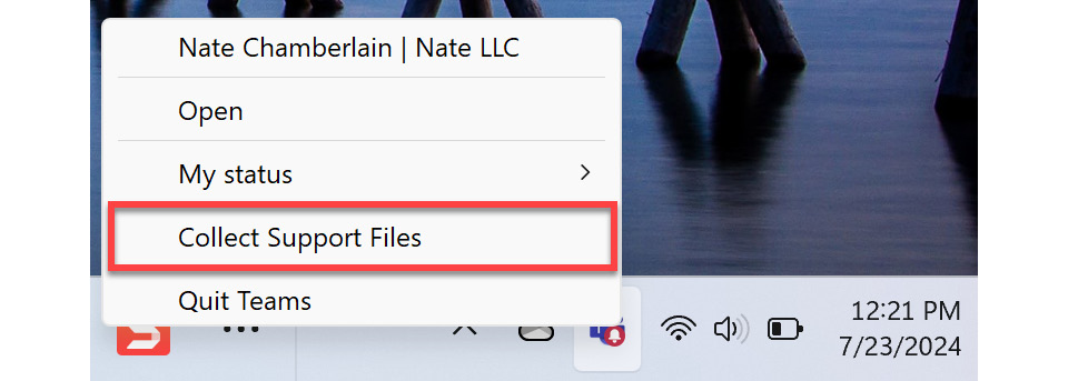 Figure 12.1: The Collect Support Files icon from the system tray