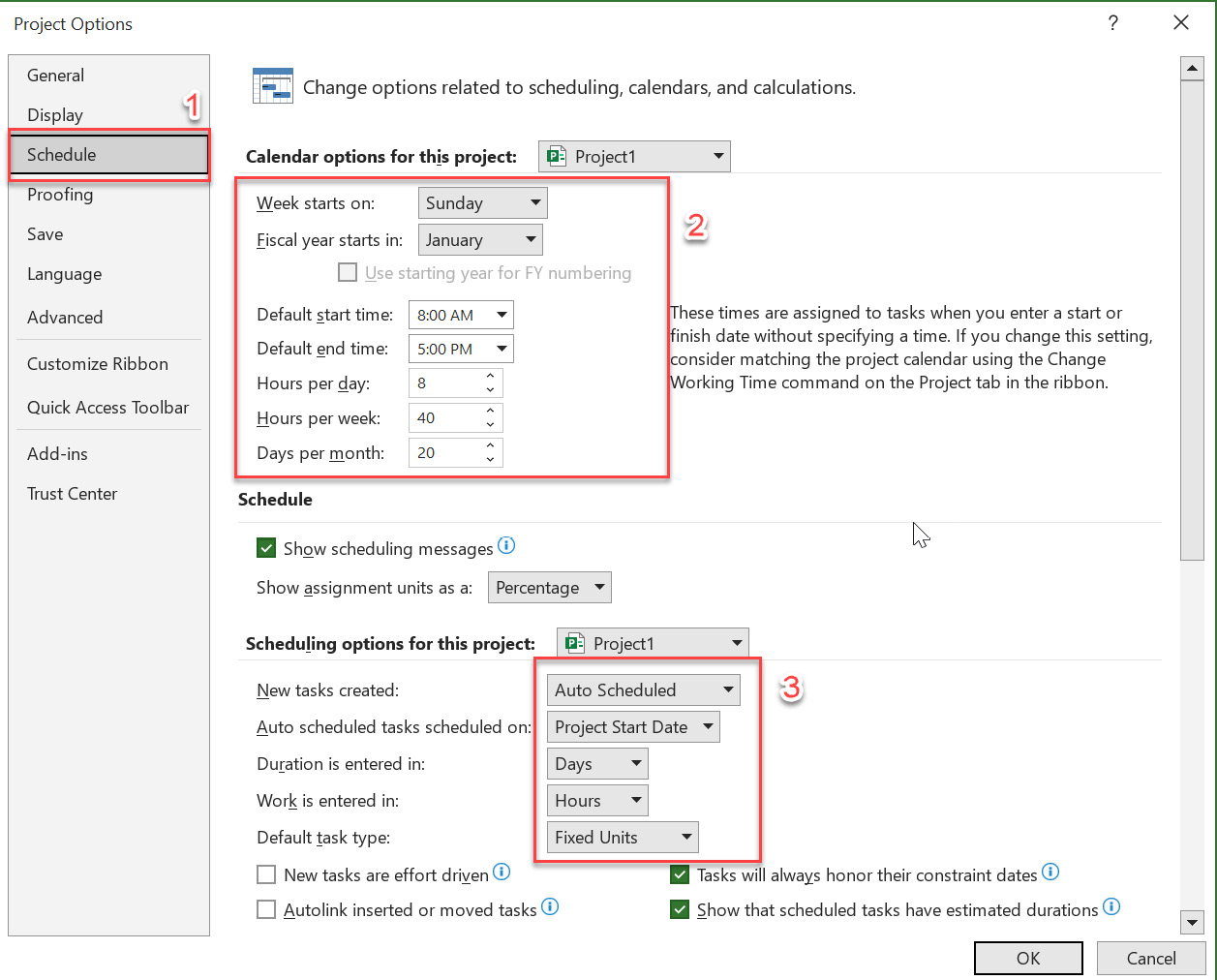 Figure 1.5: Project’s scheduling options