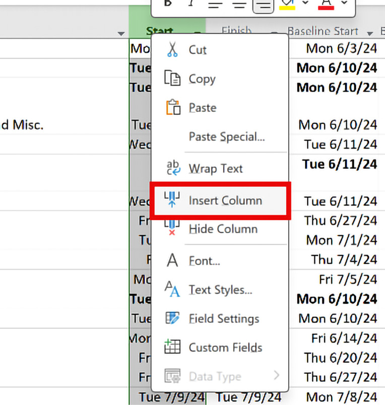 Figure 7.18: Shortcut menu for inserting a column