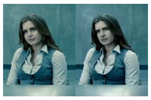 Figure 1.2: A deepfake image9