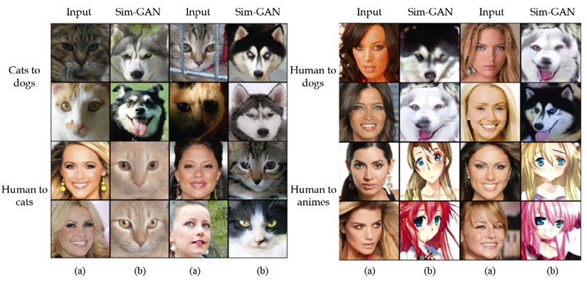 Figure 1.8: Sim-GAN for mapping human to animal or anime faces30