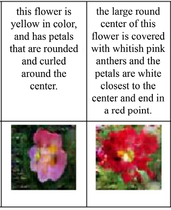 Figure 1.9: GAN for generating descriptions from images31