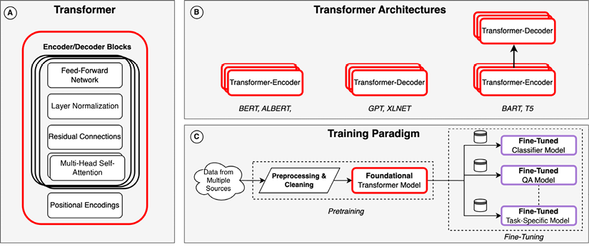 Figure 5.1: A recap of: A) the internals of a transformer architecture, B) the three main architectural variants of the transformer models, C) the two-step training paradigm showcasing pretraining followed by fine-tuning