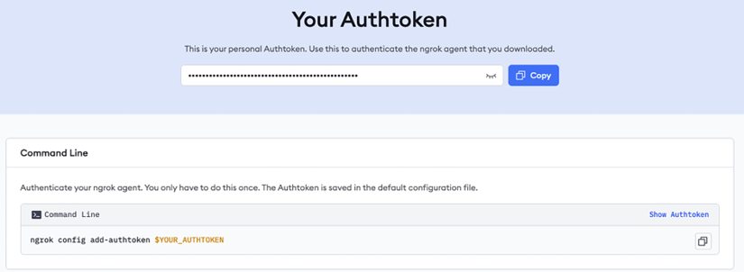 Figure 8.4: ngrok token creation