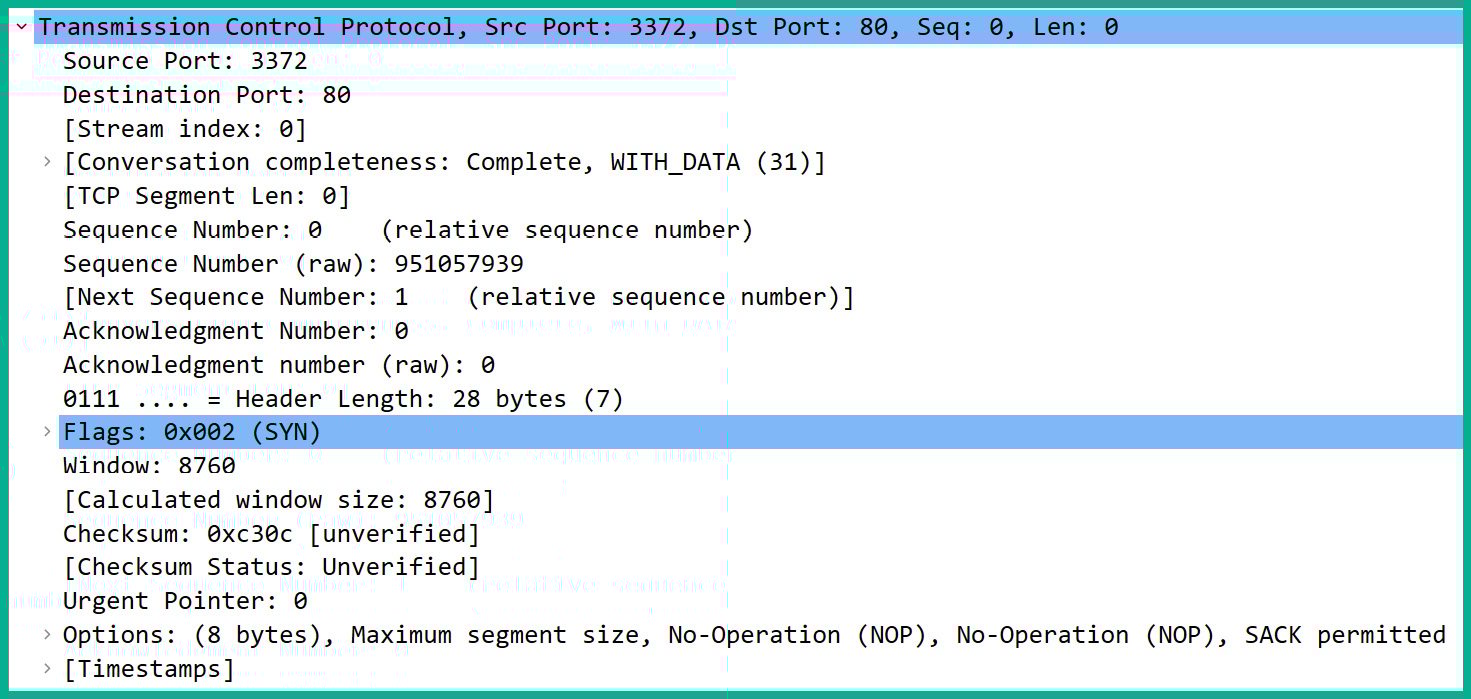 Figure 1.13: TCP header in Wireshark
