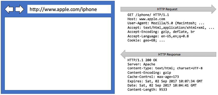 Figure 1.18: An HTTP request and response