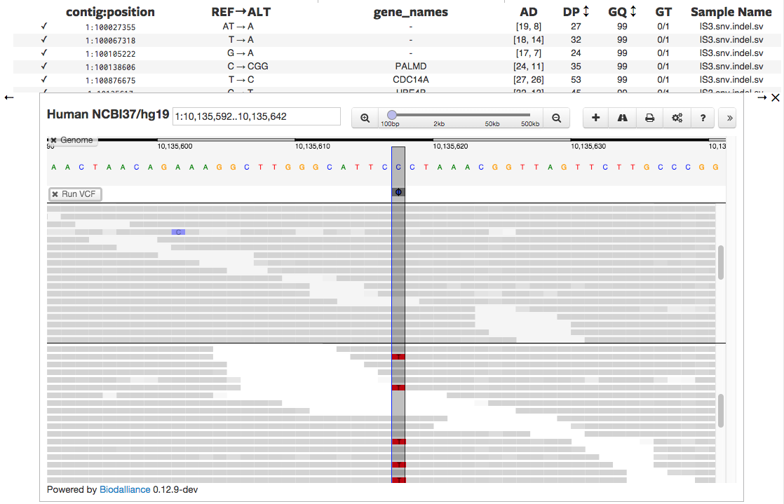 Figure 5.10 – Variant Calling example (source: https://www.hammerlab.org/2015/01/23/faster-pileup-loading-with-bai-indices/)